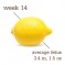 Week 14: My Little Lemon