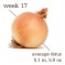 Week 17 – My Little Onion!