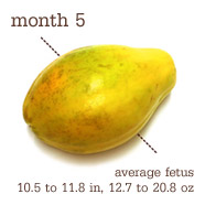 Week 22 - Papaya